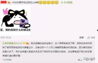 未来之翼最新爆料消息,揭秘神秘科技，引领未来航空新篇章